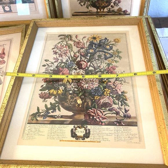 Elegant Gold Framed Botanical Art Print - Picture 10 of 10